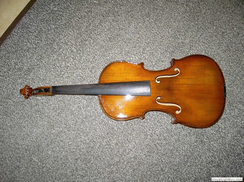 Streichinstrument mit bernsteinfarbener Holzoberfläche und dunklem Griffbrett.