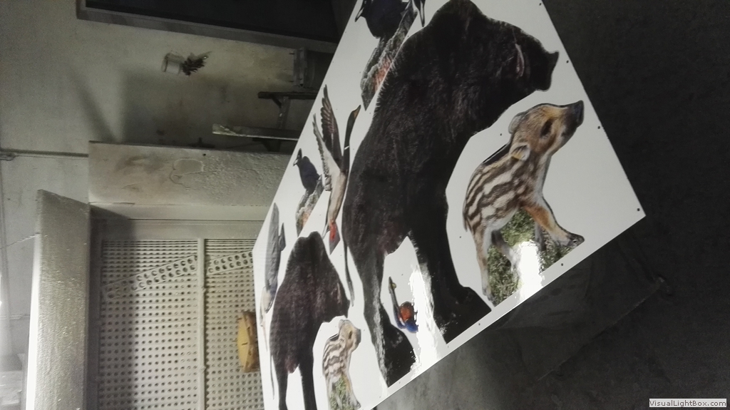 Weiße Platte mit Wildtiermotiven vor einer Absaugwand.
